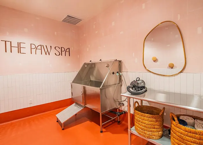 Apartment Chic Urban 1br Pool Gym Parking W&d Dt *